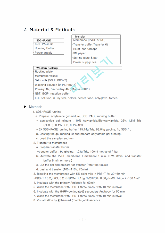 western blotting   (2 )